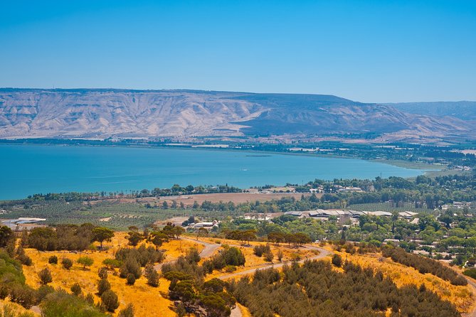 Golan Heights Biblical Day Trip From Tel Aviv - How to Book