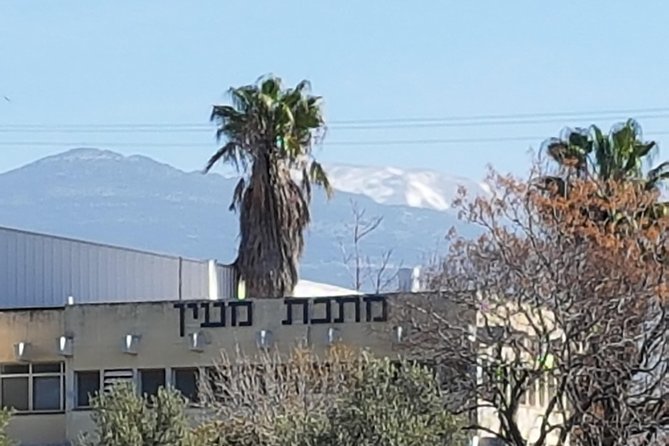 Golan Heights Private Tour From Tel Aviv - Tour Highlights