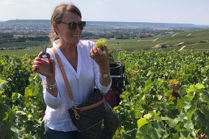 Gold Champagne Experience From Epernay (Private Tour) - Pickup Details and Cancellation Policy