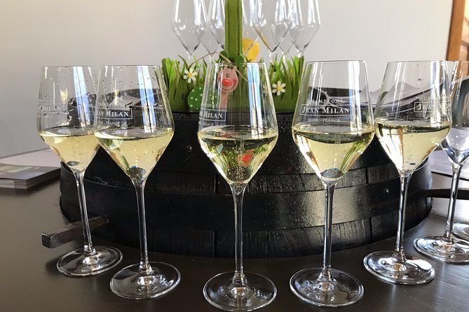 Gold Champagne Experience From Reims (Small Group Tour) - The Sum Up