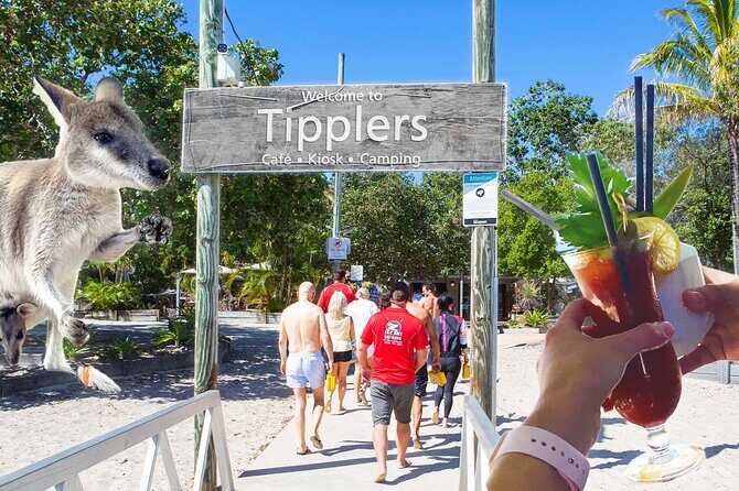 Gold Coast 2-Hour Hidden Island Jetski Tour from Surfers Paradise - A Detailed Look at the Gold Coast Jet Ski Experience