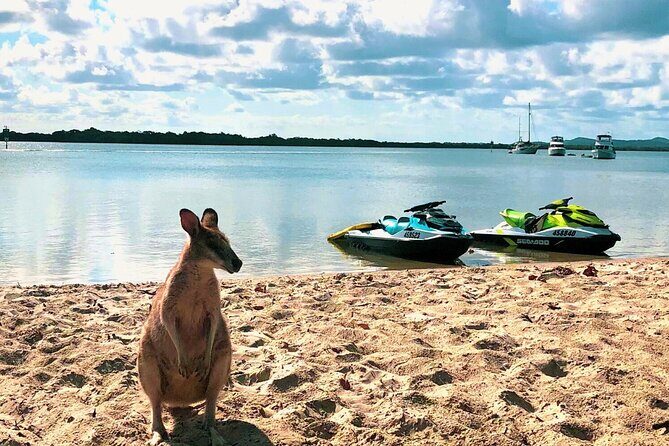 Gold Coast 30 Minute Jetski Tour in Surfers Paradise - An In-Depth Look at the Jet Ski Tour