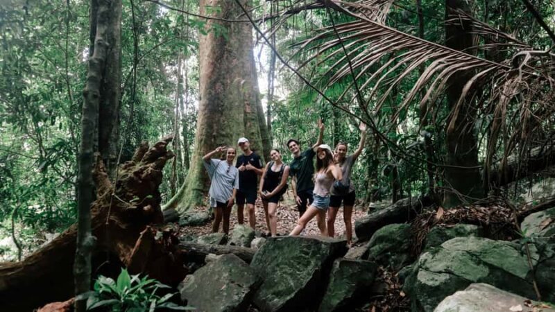 Gold Coast: 6 Waterfalls, Koalas & Natural Bridge Day Tour - Good To Know
