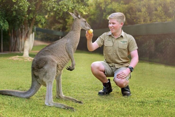 Gold Coast: Australia Zoo Ticket and Roundtrip Transfer - Ticket Details