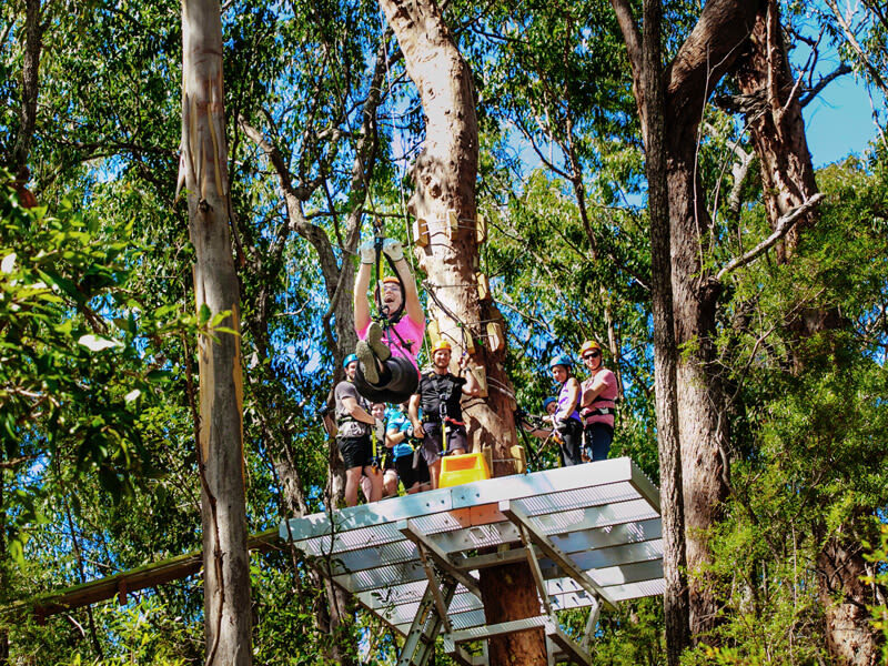 Gold Coast Canyon Flyer Guided Zipline Tour - A 4WD ride begins the forest adventure