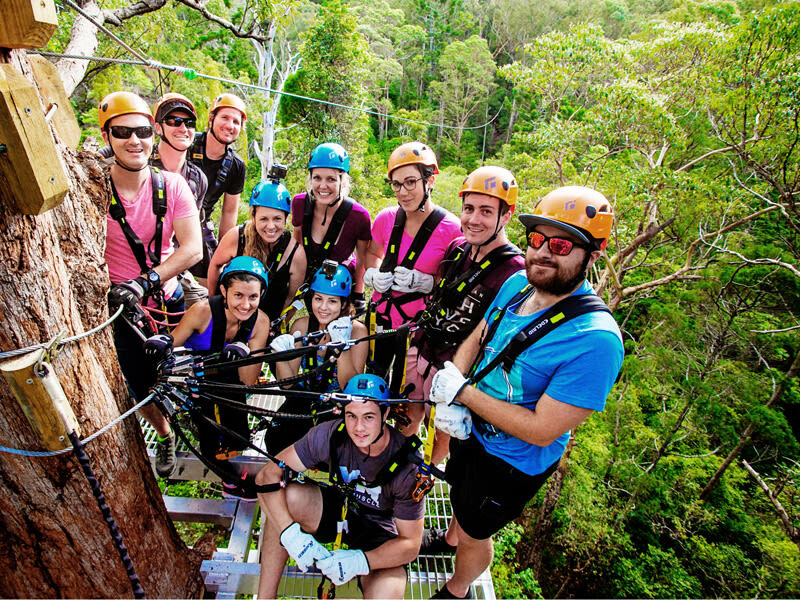 Gold Coast Canyon Flyer Guided Zipline Tour - Getting to Thunderbird Park