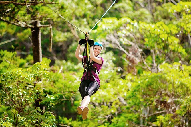 Gold Coast Canyon Flyer Zipline Tour - Good To Know