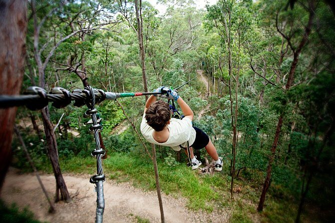 Gold Coast Canyon Flyer Zipline Tour - Pricing and Value