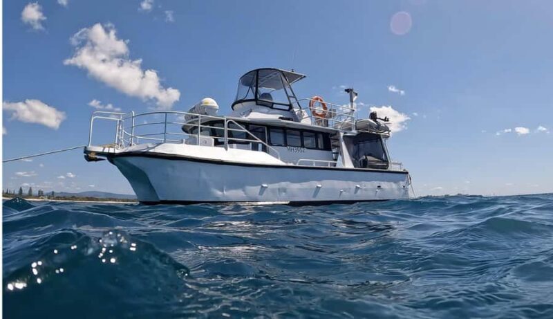 Gold Coast: Cook Island Marine Reserve Scuba Experience Dive - A Closer Look at the Cook Island Marine Reserve Scuba Experience