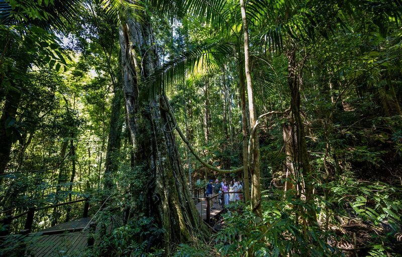 Gold Coast Day Tour from Brisbane - Should you book this Gold Coast day tour?