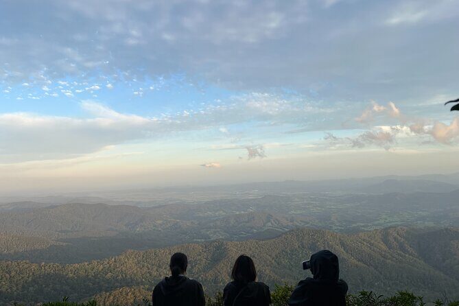 Gold Coast Fun Tour - An Honest Look at the Gold Coast Fun Tour Experience