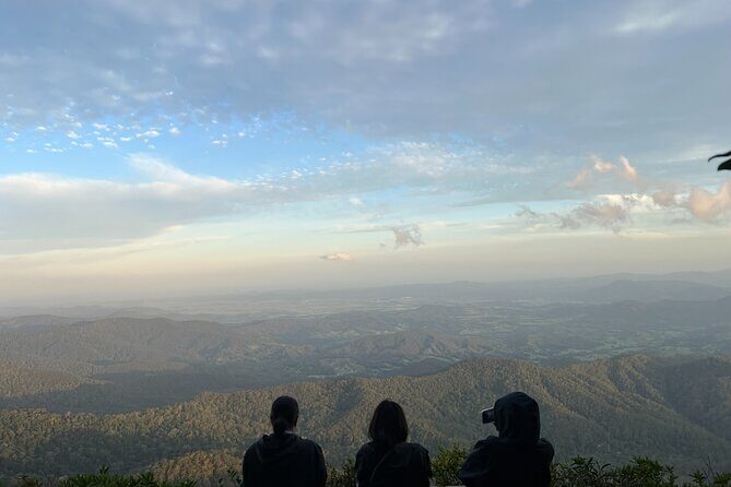 Gold Coast Fun Tour - The Sum Up: Is the Gold Coast Fun Tour Worth It?