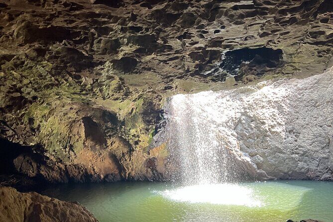 Gold Coast Fun Tour - FAQ