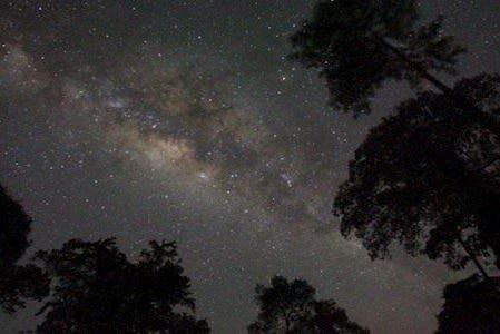 Gold Coast Glow Worm Night Tour (Chinese Guided) - What the price includes, and what it does not