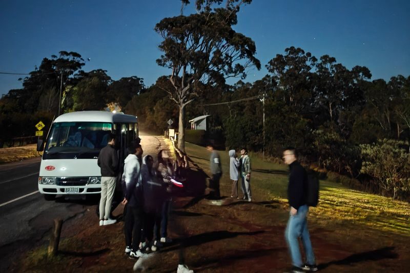 Gold Coast Glow Worm Night Tour (Chinese Guided) - How to dress and who should go