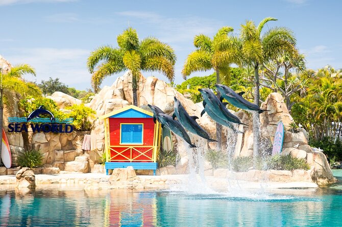 Gold Coast - Hop On Hop Off Cruise - Sightseeing Day Pass - Additional Information About the Cruise