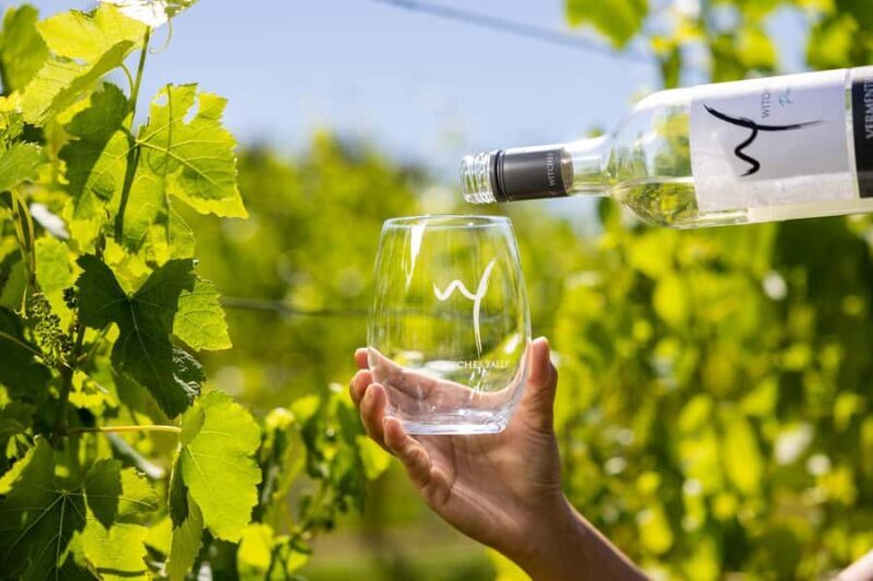 Gold Coast: Hop on Hop off Wine Tasting Tour to Mt Tamborine - In Summary