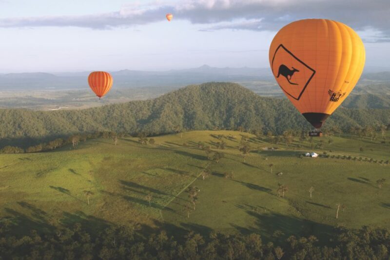 Gold Coast: Hot Air Balloon Flight+Vineyard Breakfast+Alpaca - Frequently Asked Questions