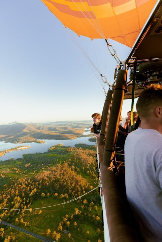 Gold Coast Hot Air Balloon Ride, Vineyard Breakfast and Alpaca Farm - Alpacas add a cheerful change of pace