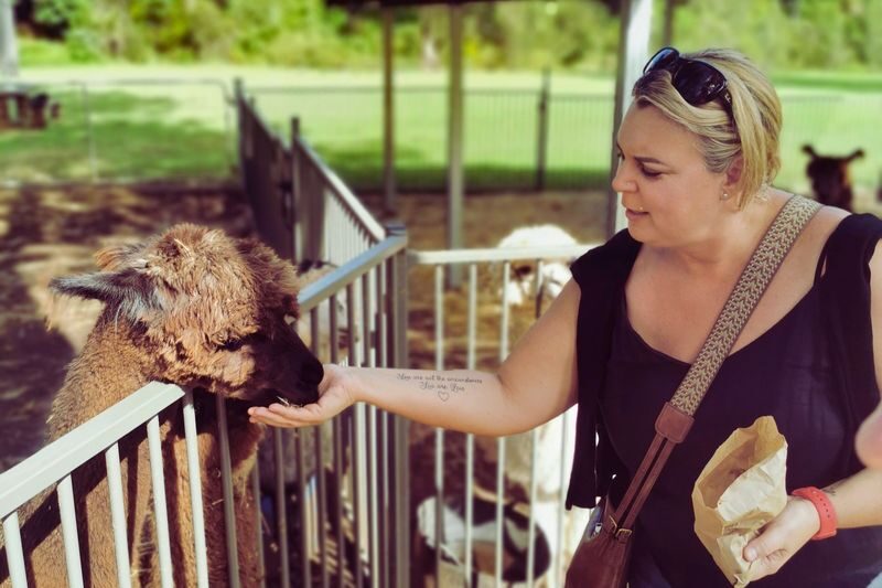 Gold Coast Hot Air Balloon Ride, Vineyard Breakfast and Alpaca Farm - What the price includes, and what it does not