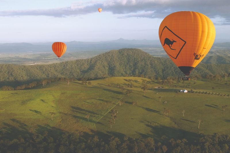 Gold Coast Hot Air Balloon Ride, Vineyard Breakfast and Alpaca Farm - Weather and timing deserve a little flexibility