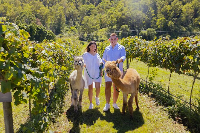Gold Coast HotAir Balloon Vineyard Breakfast Transfers - Common Questions