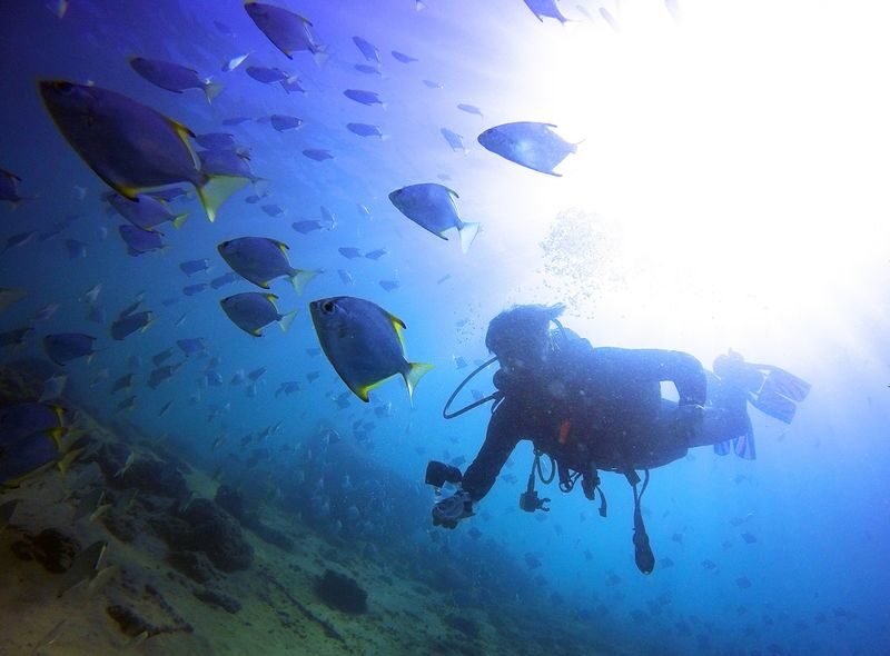 Gold Coast Introductory Scuba Diving Experience - A low-pressure start at Wave Break Island