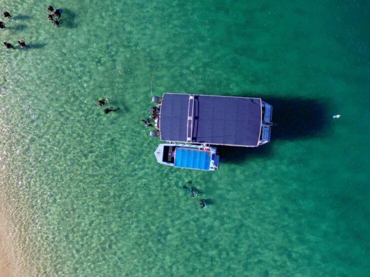 Gold Coast: Introductory SCUBA Diving Experience - Experience Highlights