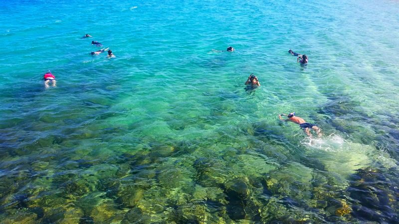 Gold Coast Kayaking & Snorkeling Tour - A snorkel stop with fish, but variable visibility