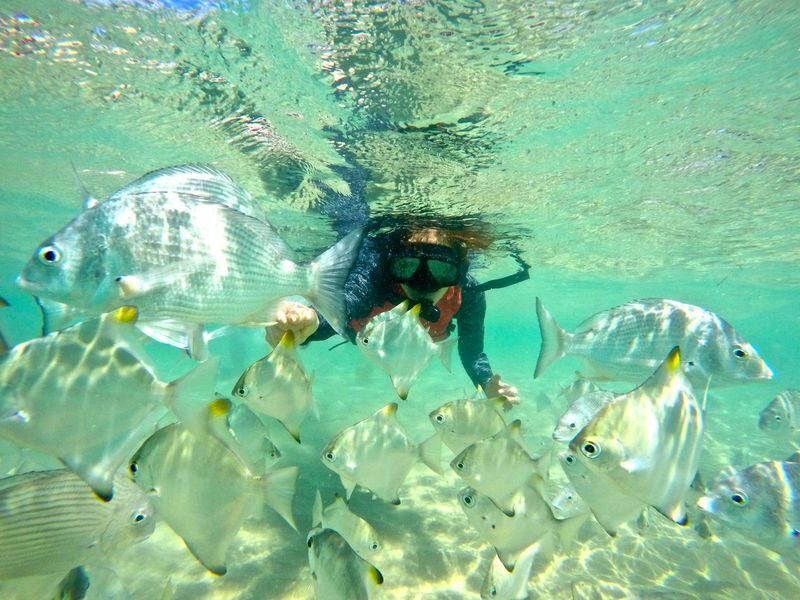 Gold Coast Kayaking & Snorkeling Tour - What to bring and what to expect at the launch