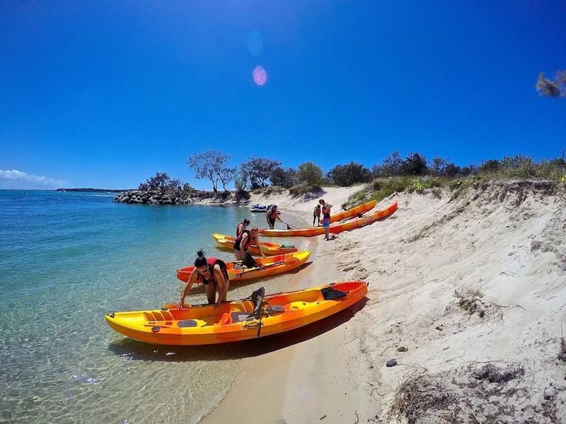 Gold Coast Kayaking & Snorkeling Tour - Who will enjoy this outing most?
