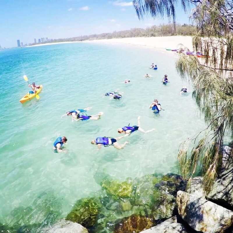 Gold Coast: Kayaking & Snorkelling Tour with Fish Feeding - Good To Know