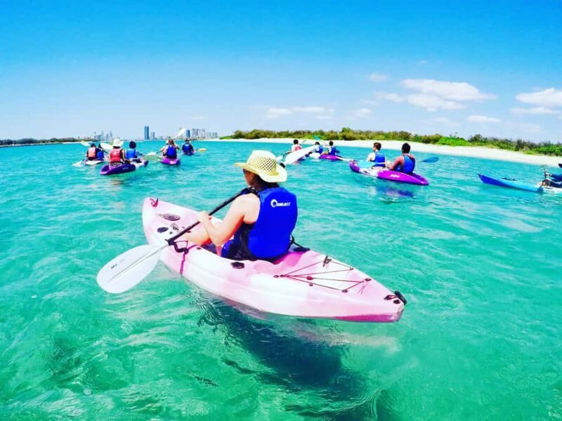 Gold Coast: Kayaking & Snorkelling Tour with Fish Feeding - An Authentic Look at the Gold Coast Kayaking & Snorkelling Tour