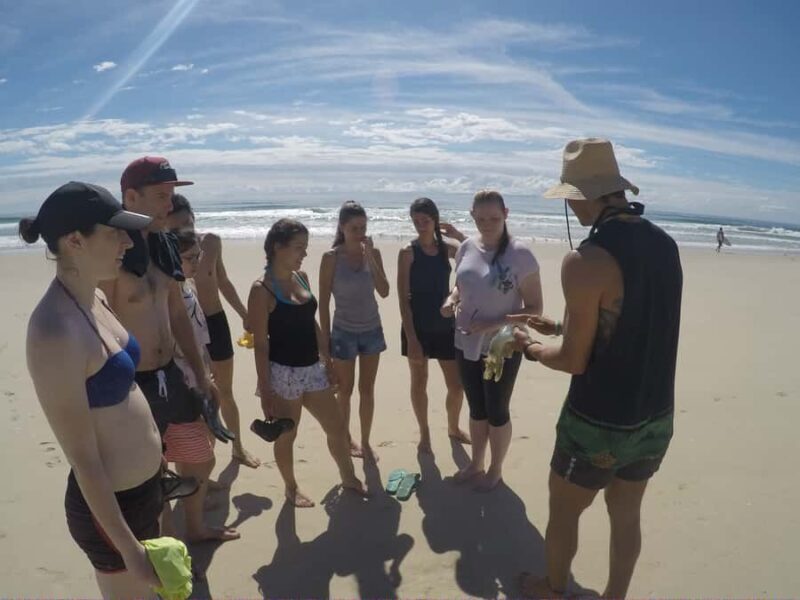 Gold Coast: Kayaking & Snorkelling Tour with Fish Feeding - Frequently Asked Questions