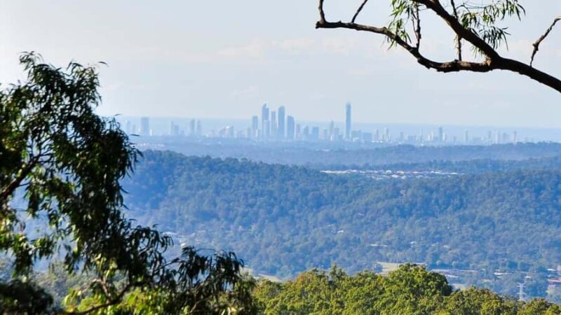 Gold Coast: Mount Tamborine Kangaroo and Koala Day Tour - Frequently Asked Questions