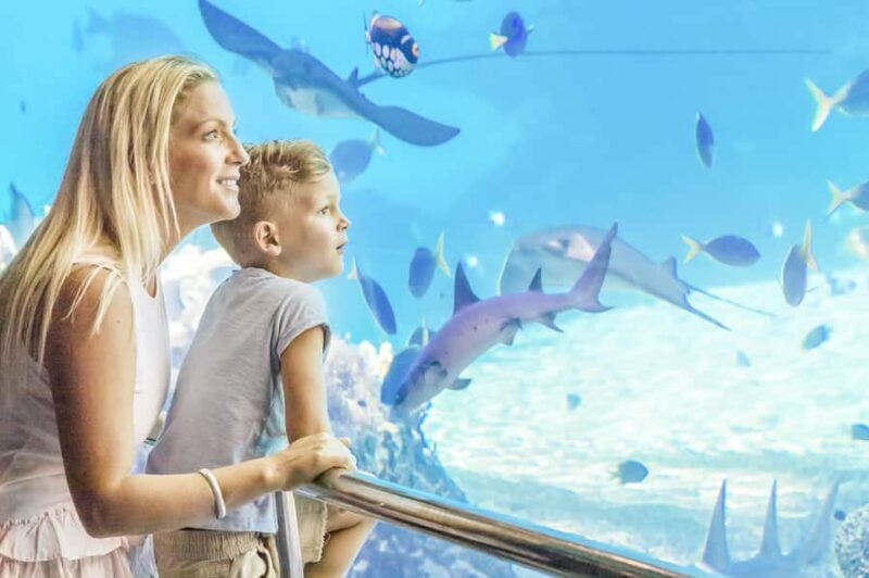 Gold Coast: Movie World, Sea World & Wet'n'Wild 7-Day Pass - An Overview of the 7-Day Unlimited Pass