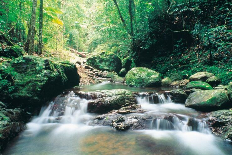 Gold Coast: Natural Bridge Glow Worm Night Tour - Tour Duration and Cancellation Policy