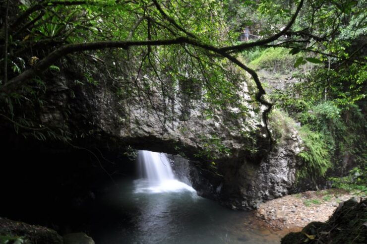 Gold Coast: Natural Bridge & Springbrook Waterfalls Tour - Tour Details
