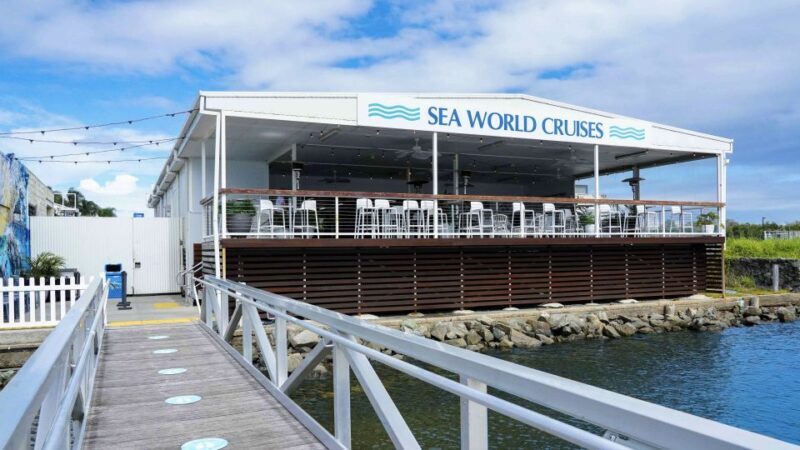 Gold Coast: Premium Whale Watching Cruise - The Value for Money