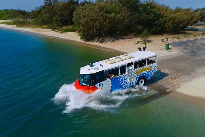 Gold Coast Quackrduck Amphibious Tour From Surfers Paradise - Highlights of the QuackrDuck Experience