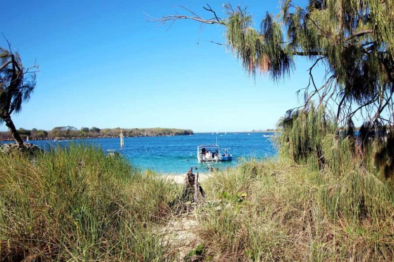 Gold Coast: Snorkelling in Wave Break Island - The Guides and Crew: Why They Make a Difference