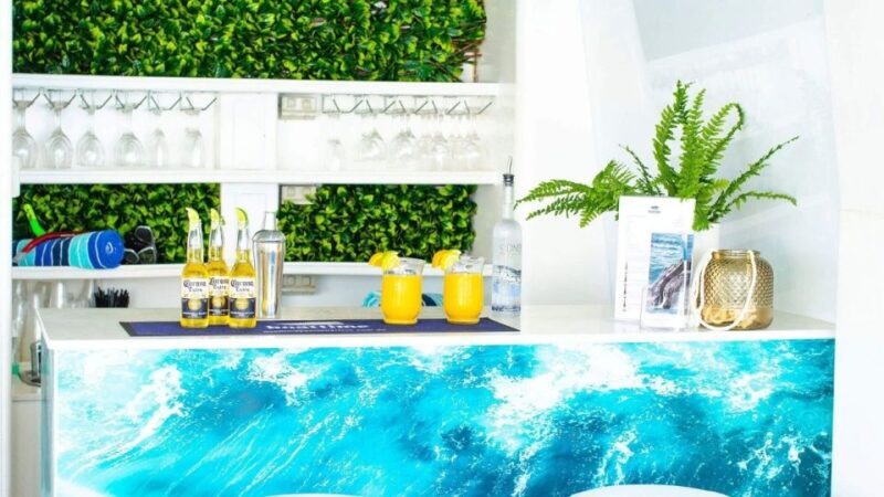 Gold Coast Sunset Cruise Aboard the Sun Goddess - Who Will Love This Experience?