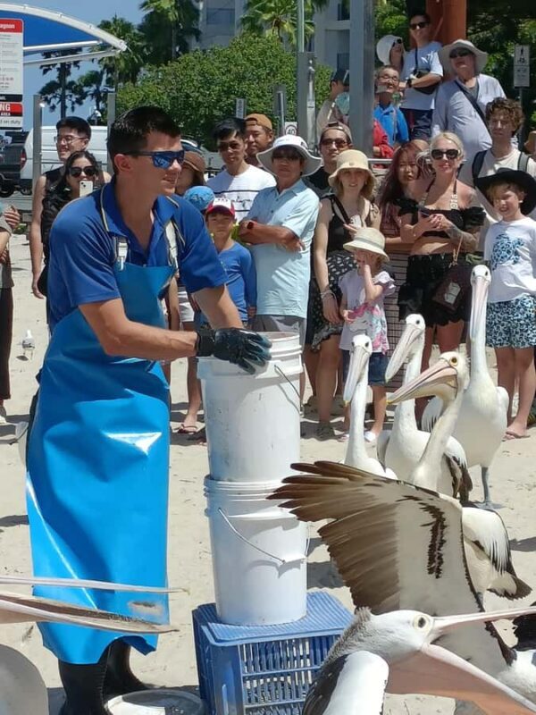 Gold Coast Surfers Paradise Private Tour from Brisbane - Good To Know