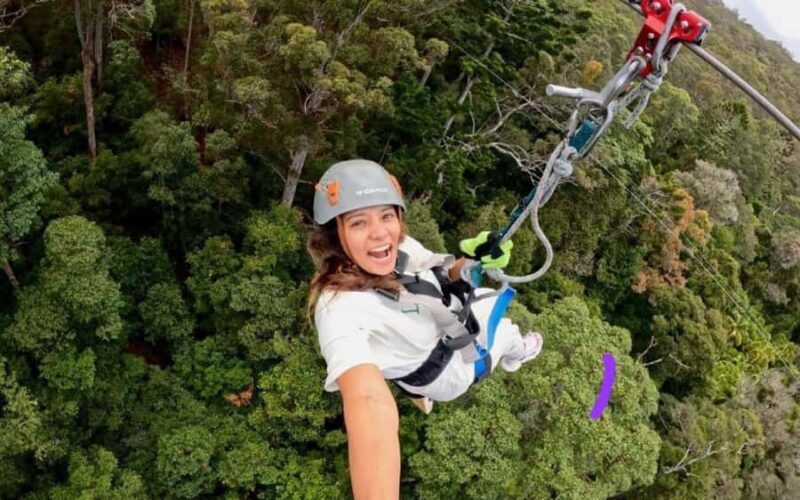 Gold Coast: Tamborine Mountain Canyon Flyer Zipline Tour - Good To Know