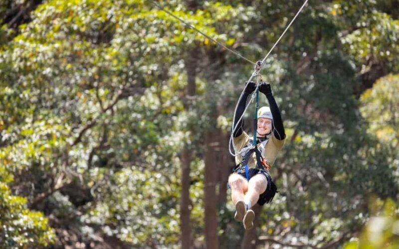 Gold Coast: Tamborine Mountain Canyon Flyer Zipline Tour - Practical Details and What to Expect
