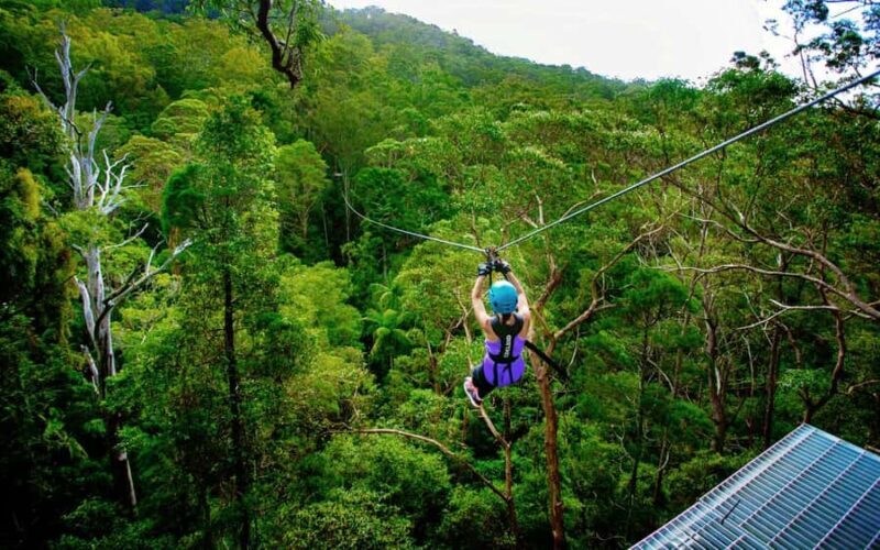 Gold Coast: Tamborine Mountain Canyon Flyer Zipline Tour - FAQ