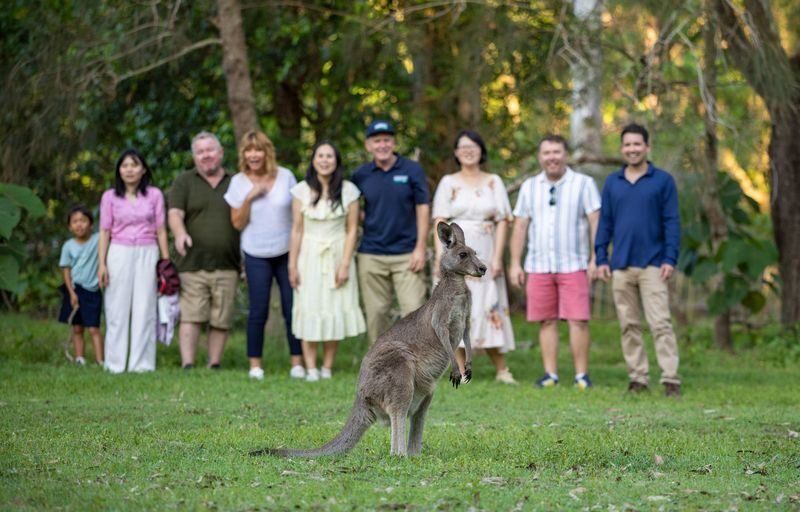 Gold Coast Tamborine National Park Half-Day Tour - Rainforest walking and Curtis Falls