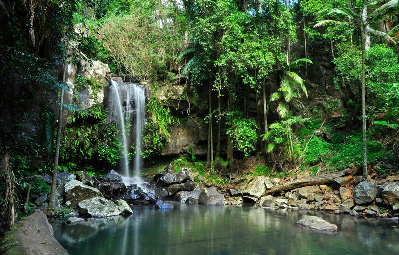 Gold Coast Tamborine National Park Half-Day Tour - What the price covers, and what it does not