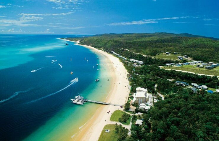 Gold Coast: Tangalooma Beach Day Cruise With Bus Transfers - Important Information and Pricing Details