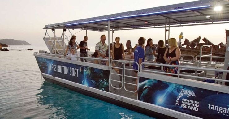 Gold Coast: Tangalooma Marine Discovery Day Cruise Transfers - Experience Highlights